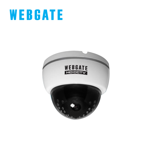 NK1080D-IR24-F3.6 웹게이트 2M IP 돔